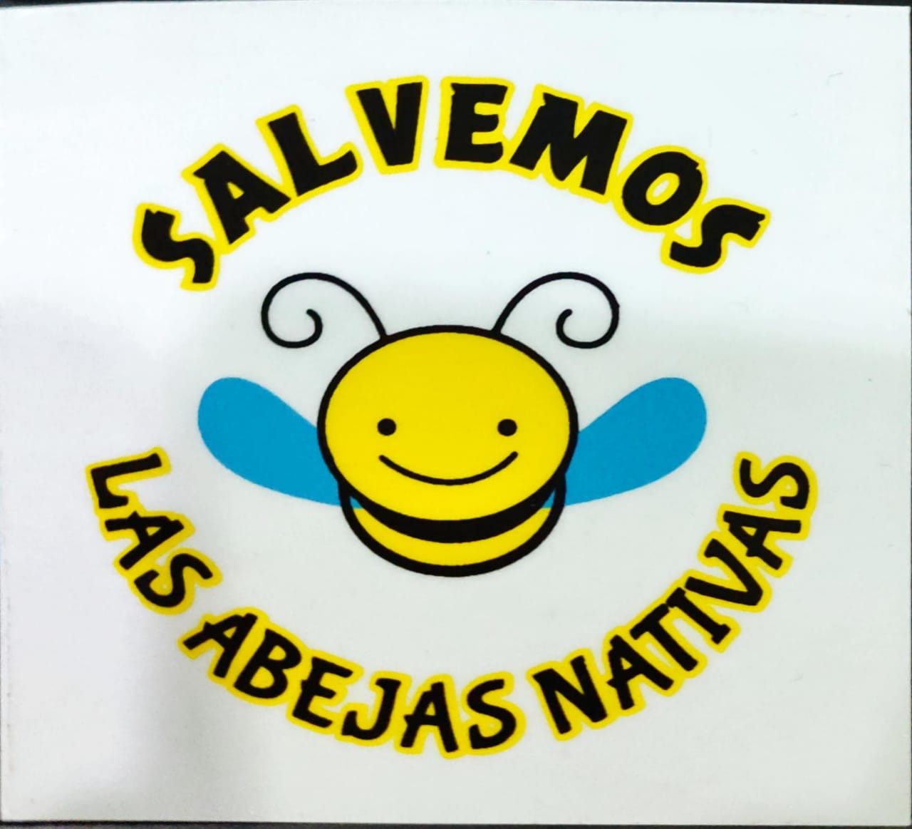 TALLER: GUARDIAN DE LAS ABEJAS NATIVAS Y DE LA AMAZONIA